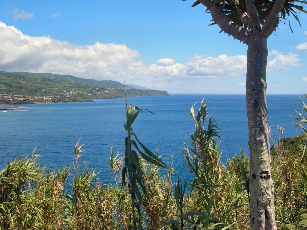 Casa Quinta Do Marques Villa Ponta Delgada Eksteriør billede